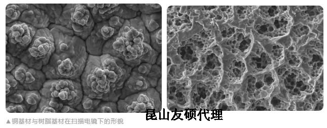 渝北蔡司渝北扫描电镜